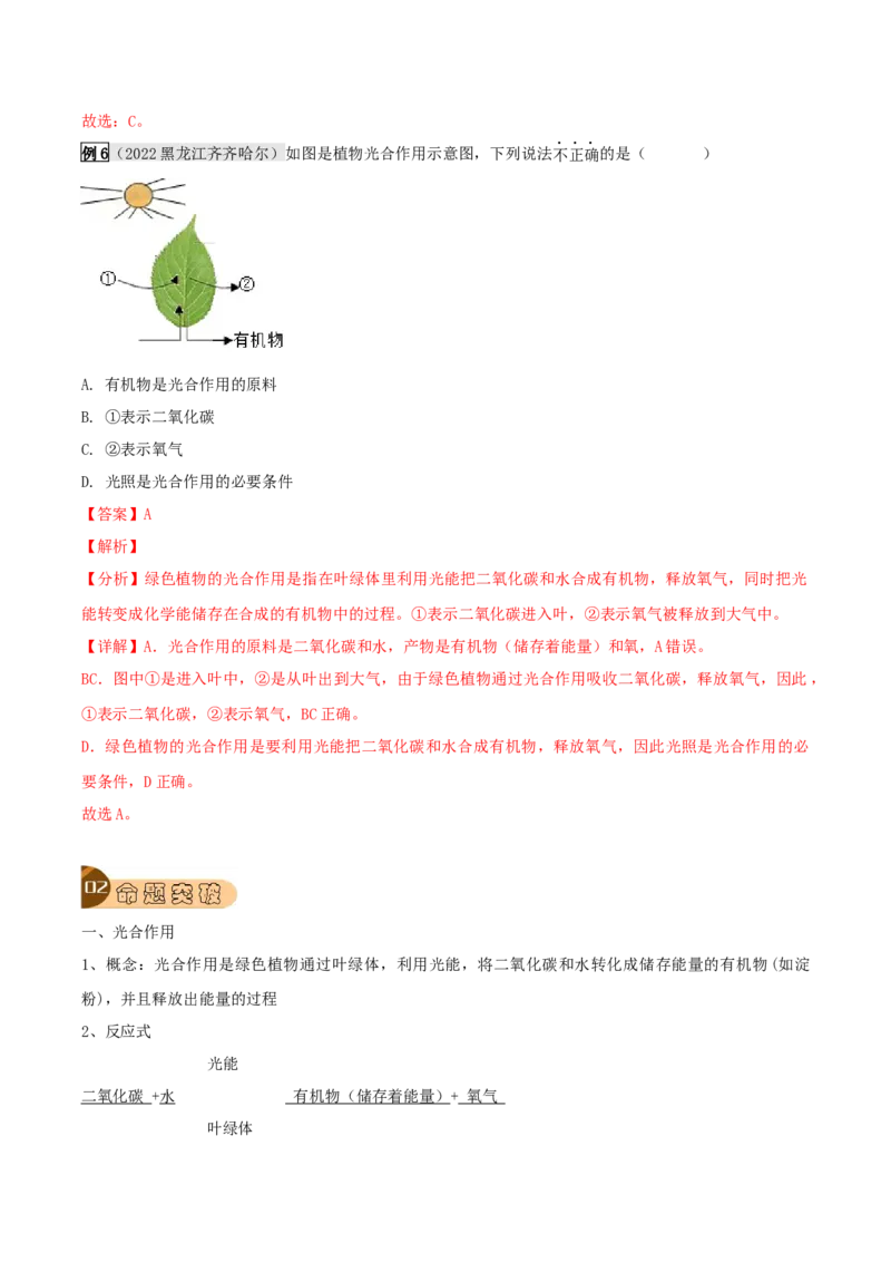 专题10绿色植物与生物圈中的碳&mdash;氧平衡（解析版）_6生物中考复习_2023年中考复习资料_专项复习_2023年中考生物总复习真题探究与变式训练（全国通用）