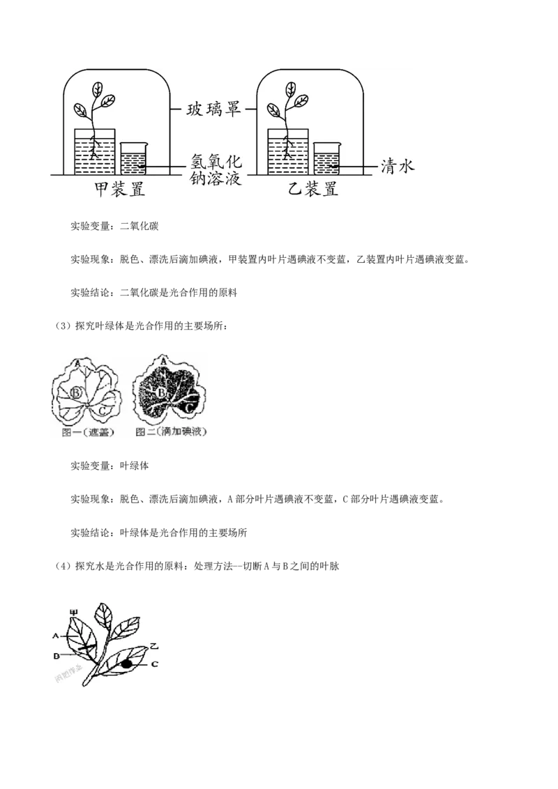 专题10绿色植物与生物圈中的碳&mdash;氧平衡（解析版）_6生物中考复习_2023年中考复习资料_专项复习_2023年中考生物总复习真题探究与变式训练（全国通用）