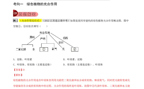 专题10绿色植物与生物圈中的碳&mdash;氧平衡（解析版）_6生物中考复习_2023年中考复习资料_专项复习_2023年中考生物总复习真题探究与变式训练（全国通用）