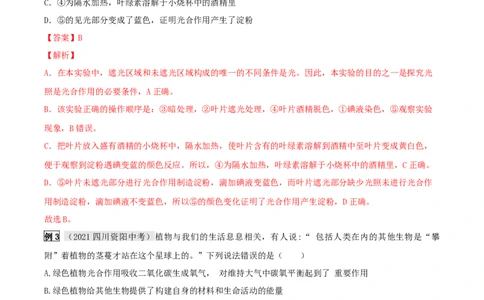 专题10绿色植物与生物圈中的碳&mdash;氧平衡（解析版）_6生物中考复习_2023年中考复习资料_专项复习_2023年中考生物总复习真题探究与变式训练（全国通用）