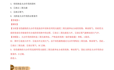 专题10绿色植物与生物圈中的碳&mdash;氧平衡（解析版）_6生物中考复习_2023年中考复习资料_专项复习_2023年中考生物总复习真题探究与变式训练（全国通用）
