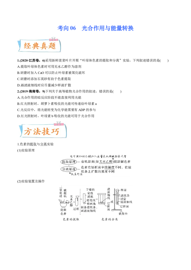 考向06光合作用与能量转换-备战2023年高考生物一轮复习考点微专题（全国通用）（原卷版）_通用版（老高考）复习资料_2023年复习资料_一轮复习