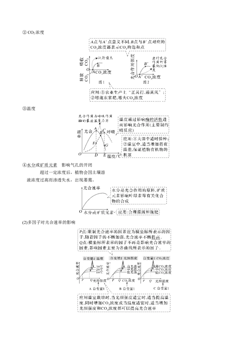 考向06光合作用与能量转换-备战2023年高考生物一轮复习考点微专题（全国通用）（原卷版）_通用版（老高考）复习资料_2023年复习资料_一轮复习