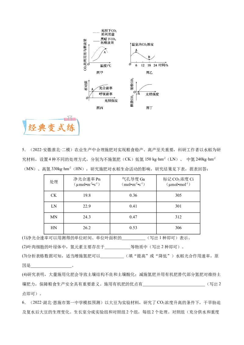 考向06光合作用与能量转换-备战2023年高考生物一轮复习考点微专题（全国通用）（原卷版）_通用版（老高考）复习资料_2023年复习资料_一轮复习