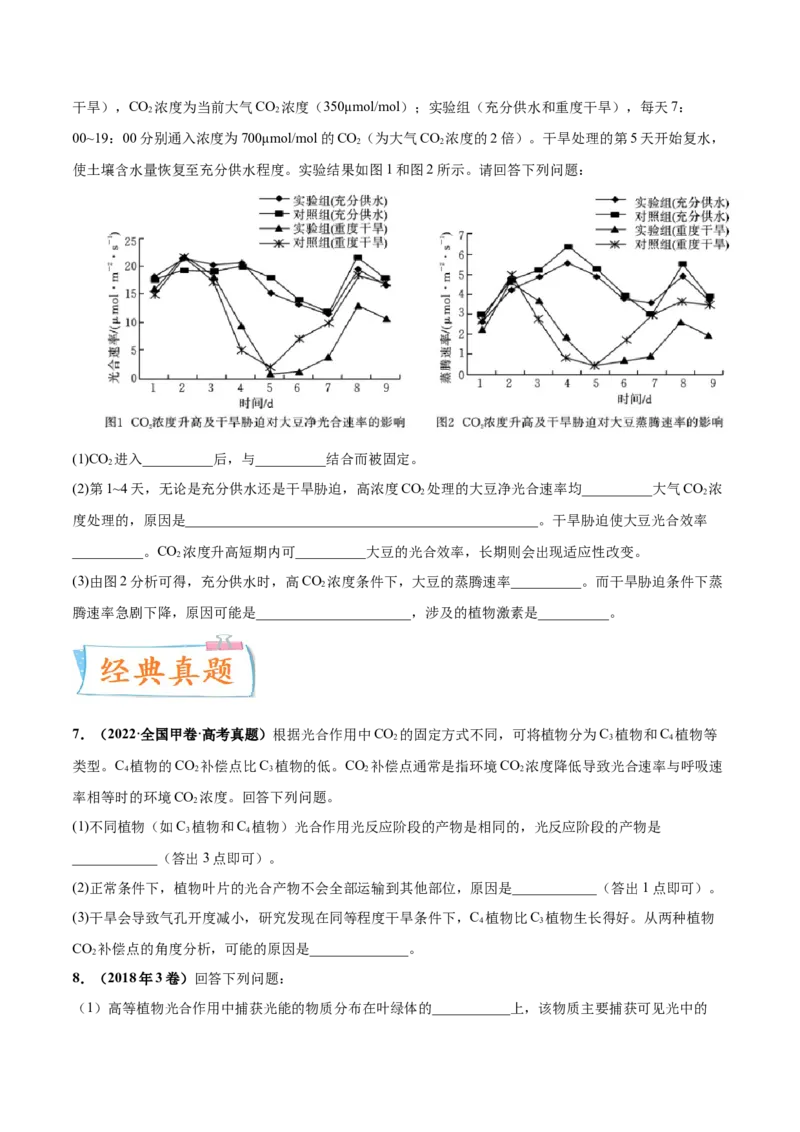 考向06光合作用与能量转换-备战2023年高考生物一轮复习考点微专题（全国通用）（原卷版）_通用版（老高考）复习资料_2023年复习资料_一轮复习