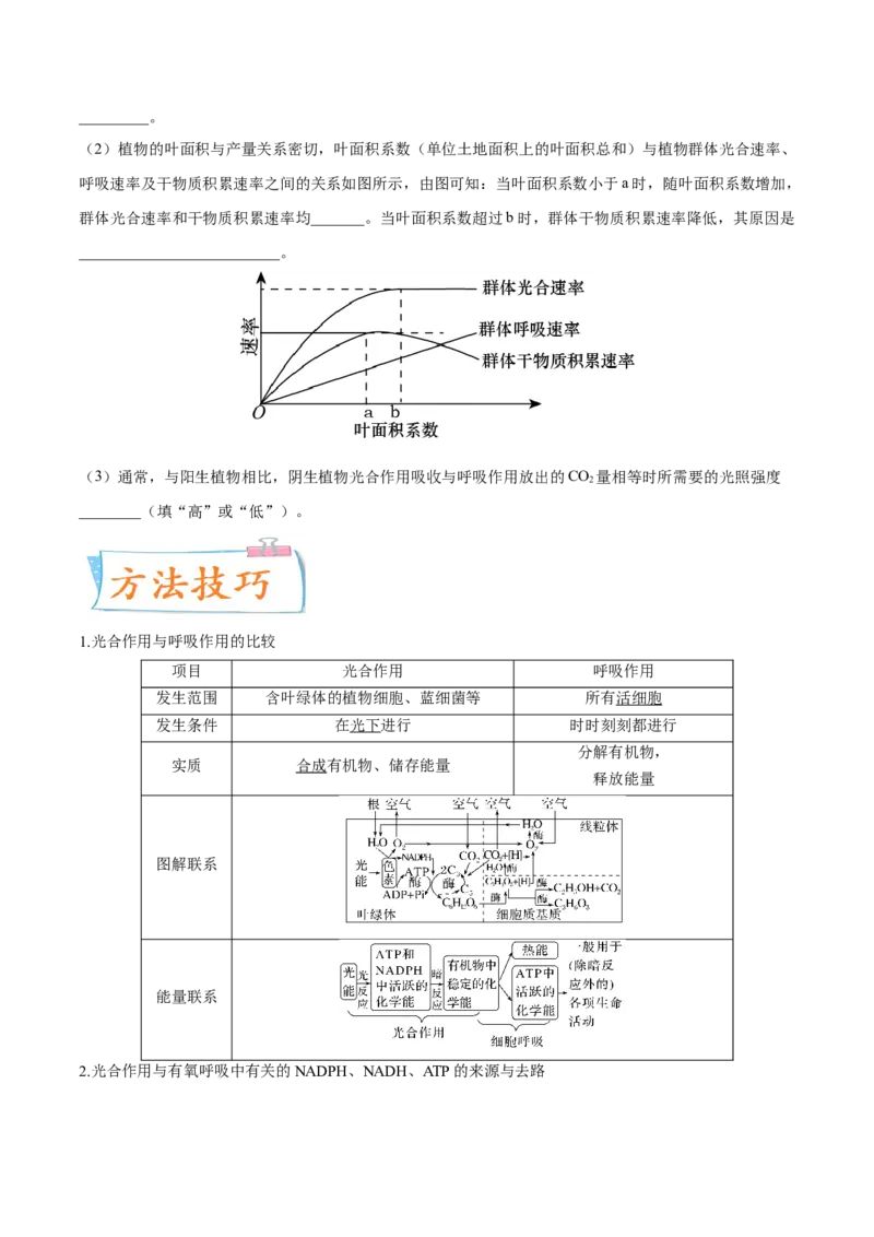 考向06光合作用与能量转换-备战2023年高考生物一轮复习考点微专题（全国通用）（原卷版）_通用版（老高考）复习资料_2023年复习资料_一轮复习