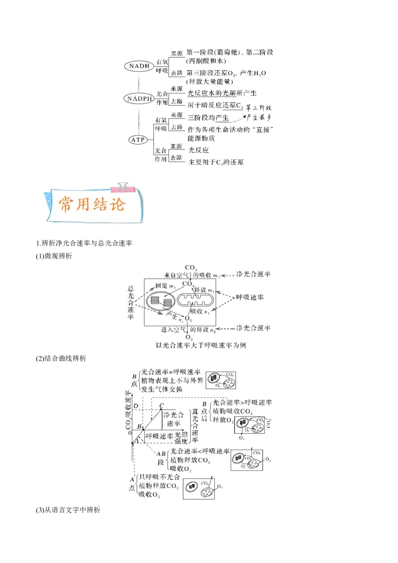 考向06光合作用与能量转换-备战2023年高考生物一轮复习考点微专题（全国通用）（原卷版）_通用版（老高考）复习资料_2023年复习资料_一轮复习