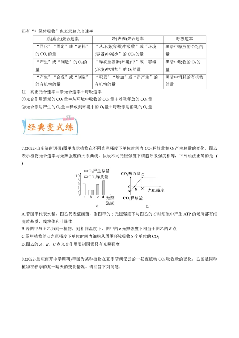 考向06光合作用与能量转换-备战2023年高考生物一轮复习考点微专题（全国通用）（原卷版）_通用版（老高考）复习资料_2023年复习资料_一轮复习