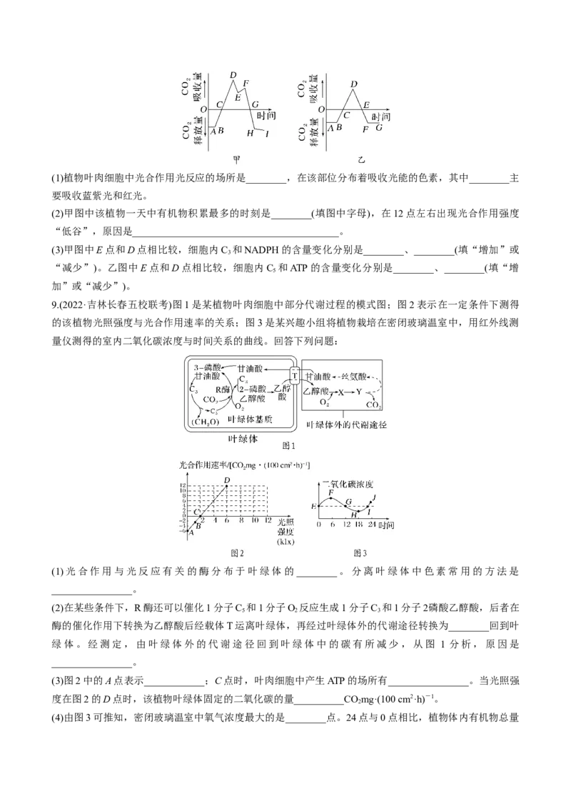 考向06光合作用与能量转换-备战2023年高考生物一轮复习考点微专题（全国通用）（原卷版）_通用版（老高考）复习资料_2023年复习资料_一轮复习