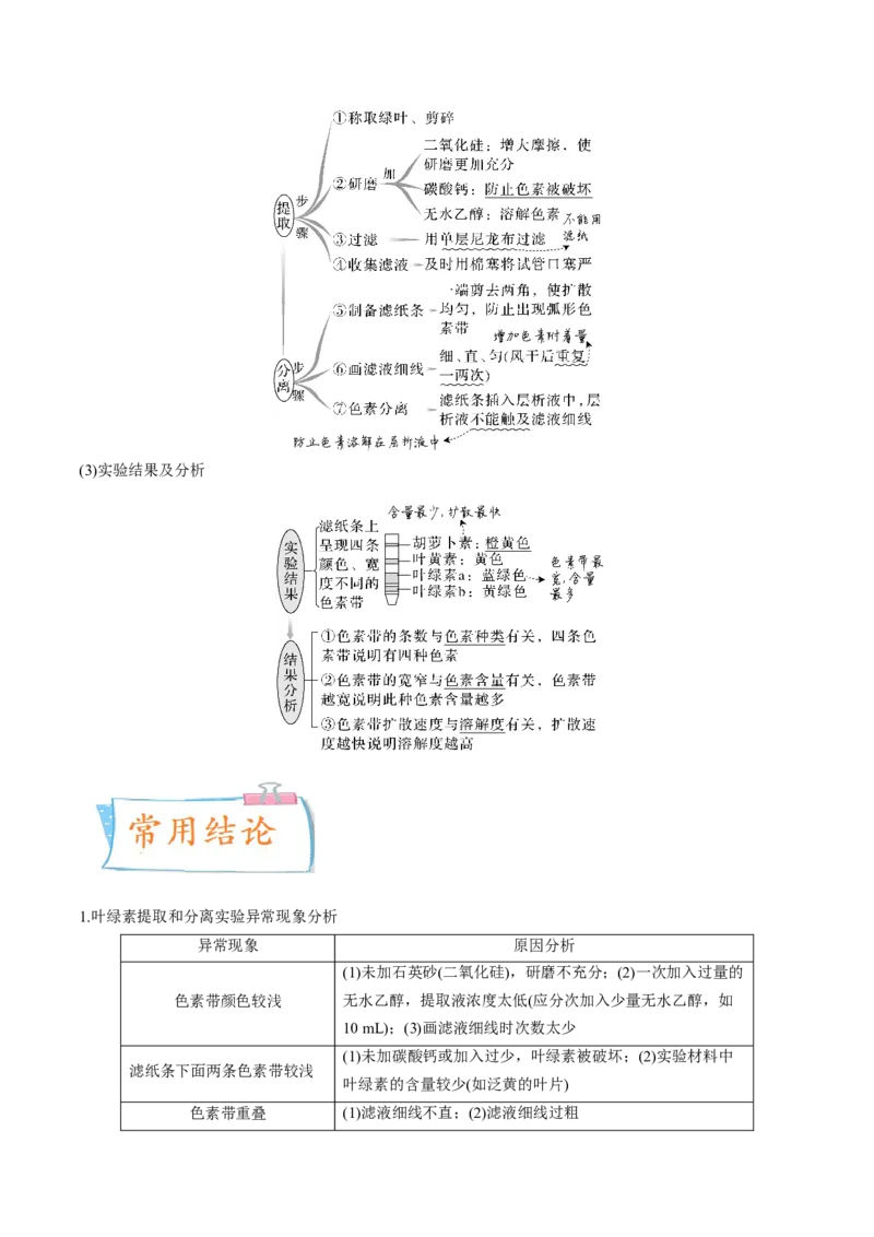 考向06光合作用与能量转换-备战2023年高考生物一轮复习考点微专题（全国通用）（原卷版）_通用版（老高考）复习资料_2023年复习资料_一轮复习