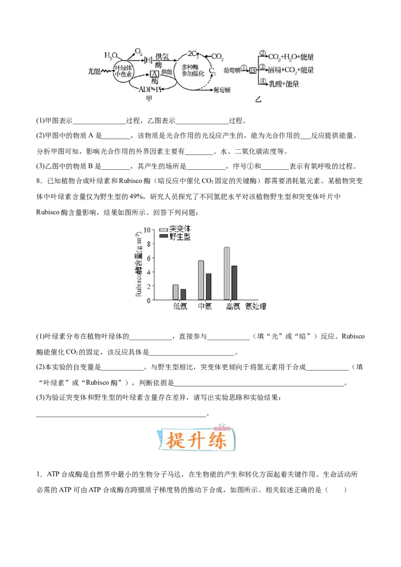 考向06光合作用与能量转换-备战2023年高考生物一轮复习考点微专题（全国通用）（原卷版）_通用版（老高考）复习资料_2023年复习资料_一轮复习