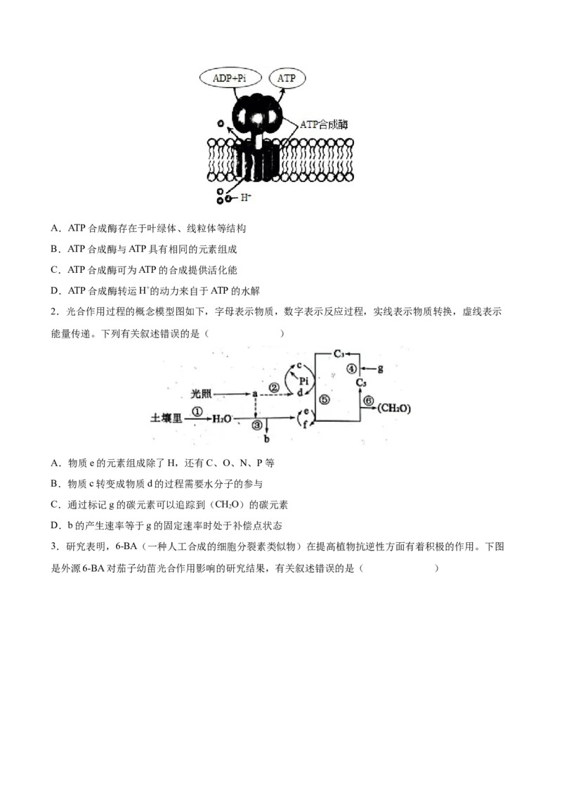 考向06光合作用与能量转换-备战2023年高考生物一轮复习考点微专题（全国通用）（原卷版）_通用版（老高考）复习资料_2023年复习资料_一轮复习