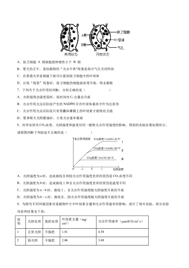 考向06光合作用与能量转换-备战2023年高考生物一轮复习考点微专题（全国通用）（原卷版）_通用版（老高考）复习资料_2023年复习资料_一轮复习