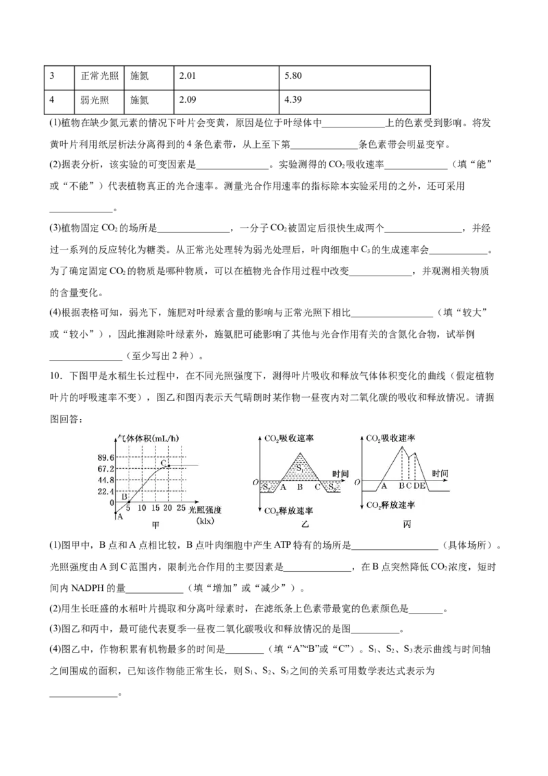 考向06光合作用与能量转换-备战2023年高考生物一轮复习考点微专题（全国通用）（原卷版）_通用版（老高考）复习资料_2023年复习资料_一轮复习