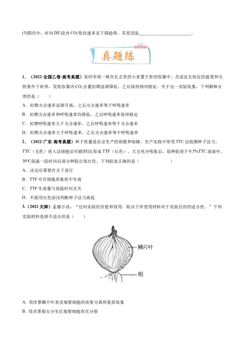 考向06光合作用与能量转换-备战2023年高考生物一轮复习考点微专题（全国通用）（原卷版）_通用版（老高考）复习资料_2023年复习资料_一轮复习
