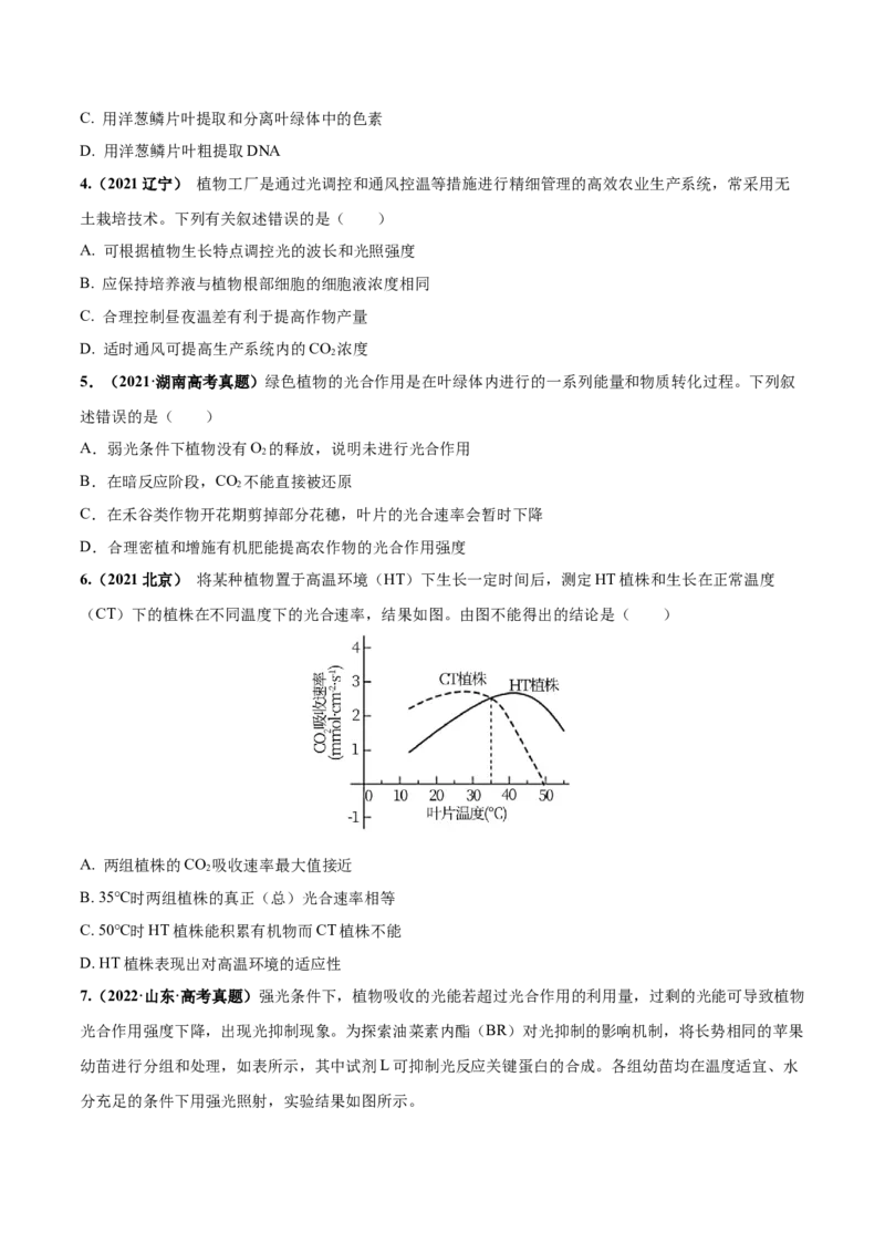 考向06光合作用与能量转换-备战2023年高考生物一轮复习考点微专题（全国通用）（原卷版）_通用版（老高考）复习资料_2023年复习资料_一轮复习