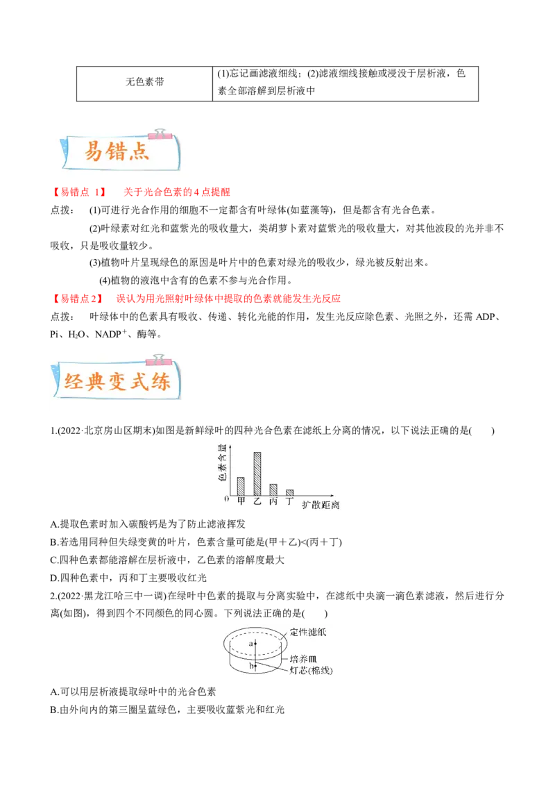 考向06光合作用与能量转换-备战2023年高考生物一轮复习考点微专题（全国通用）（原卷版）_通用版（老高考）复习资料_2023年复习资料_一轮复习