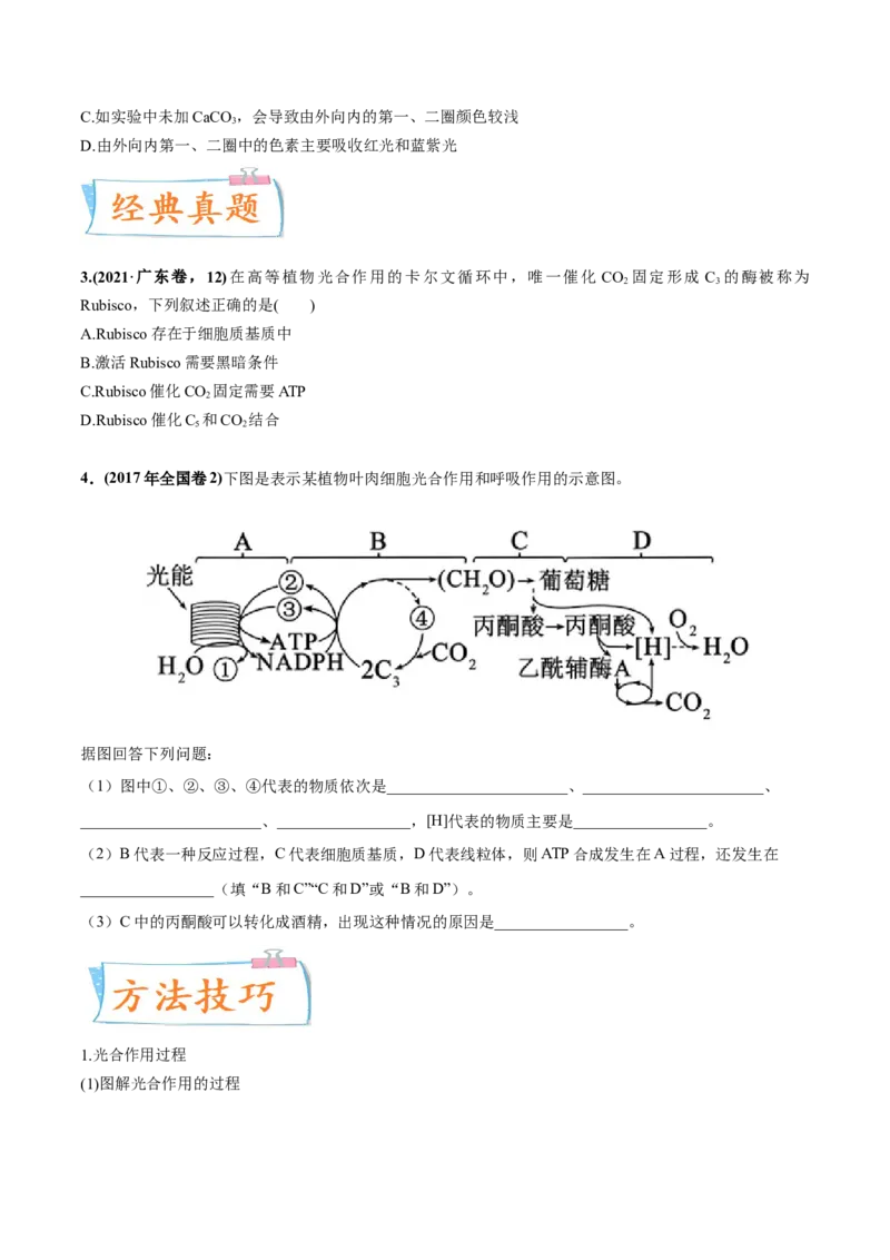 考向06光合作用与能量转换-备战2023年高考生物一轮复习考点微专题（全国通用）（原卷版）_通用版（老高考）复习资料_2023年复习资料_一轮复习