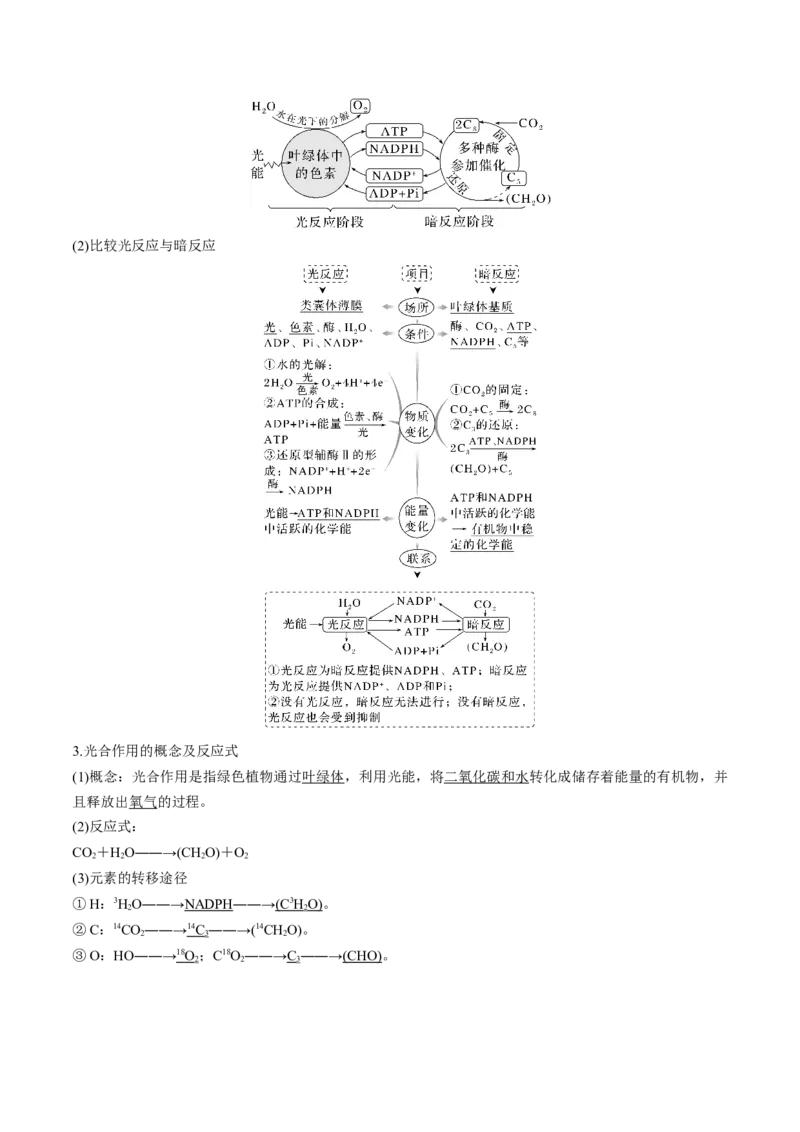 考向06光合作用与能量转换-备战2023年高考生物一轮复习考点微专题（全国通用）（原卷版）_通用版（老高考）复习资料_2023年复习资料_一轮复习