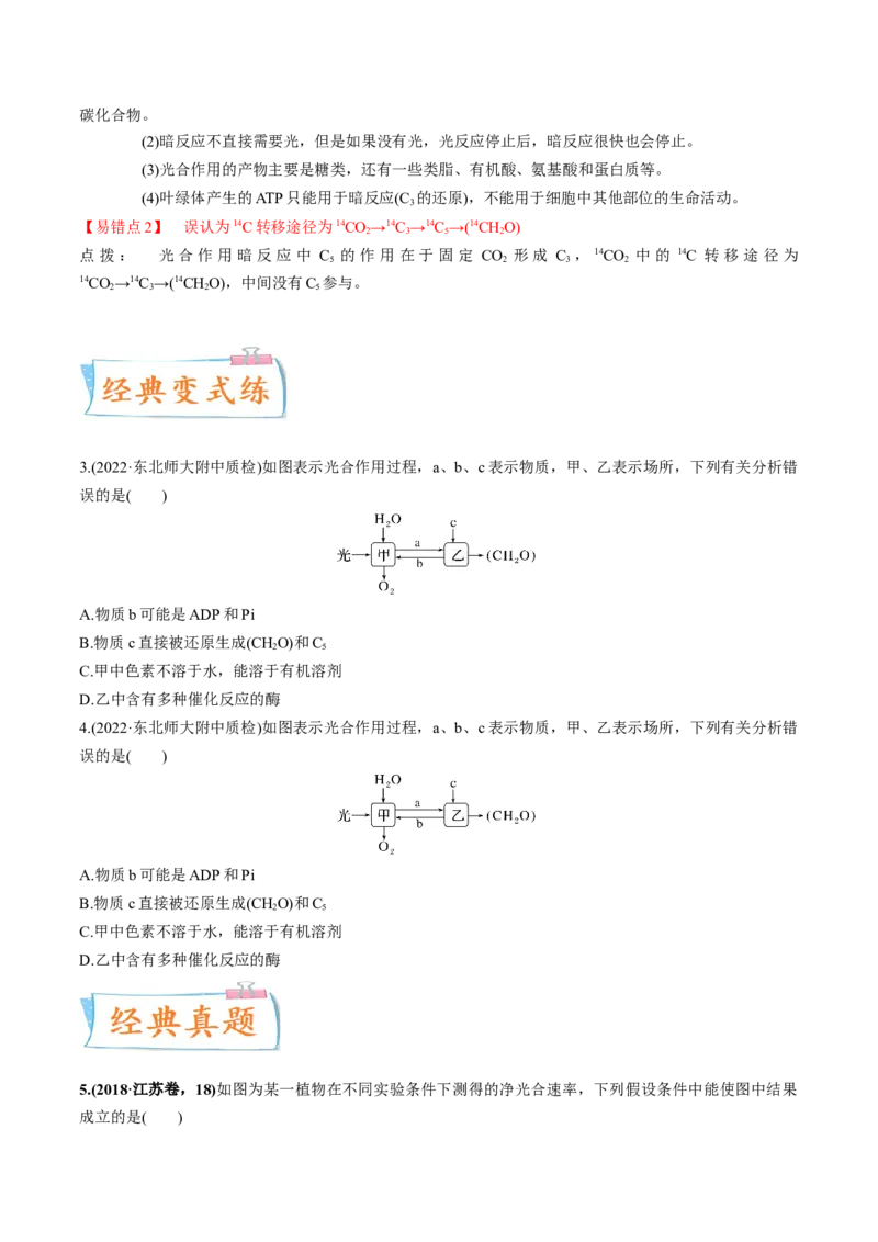 考向06光合作用与能量转换-备战2023年高考生物一轮复习考点微专题（全国通用）（原卷版）_通用版（老高考）复习资料_2023年复习资料_一轮复习