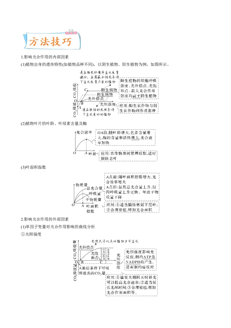 考向06光合作用与能量转换-备战2023年高考生物一轮复习考点微专题（全国通用）（原卷版）_通用版（老高考）复习资料_2023年复习资料_一轮复习