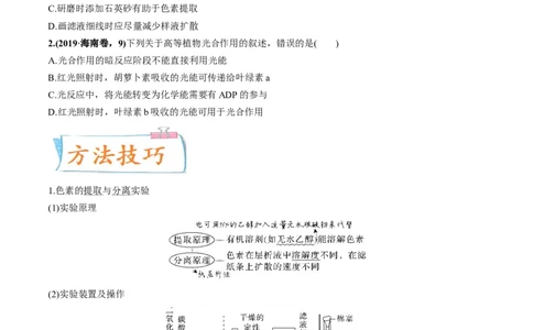 考向06光合作用与能量转换-备战2023年高考生物一轮复习考点微专题（全国通用）（原卷版）_通用版（老高考）复习资料_2023年复习资料_一轮复习