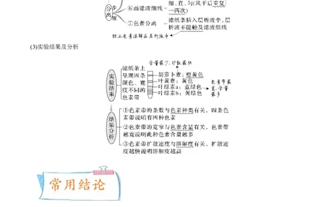 考向06光合作用与能量转换-备战2023年高考生物一轮复习考点微专题（全国通用）（原卷版）_通用版（老高考）复习资料_2023年复习资料_一轮复习