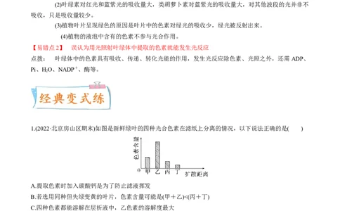 考向06光合作用与能量转换-备战2023年高考生物一轮复习考点微专题（全国通用）（原卷版）_通用版（老高考）复习资料_2023年复习资料_一轮复习