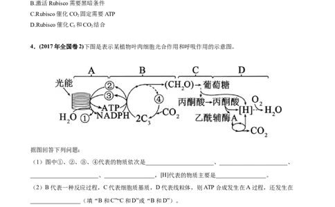 考向06光合作用与能量转换-备战2023年高考生物一轮复习考点微专题（全国通用）（原卷版）_通用版（老高考）复习资料_2023年复习资料_一轮复习