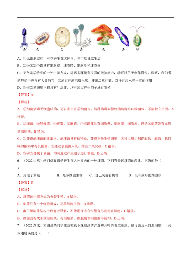 专题17细菌、真菌和病毒（解析版）_6生物中考复习_2023年中考复习资料_一轮复习_2023年中考生物一轮复习讲练测_专题17细菌、真菌和病毒（专题精练）-2023年中考生物一轮复习讲练测