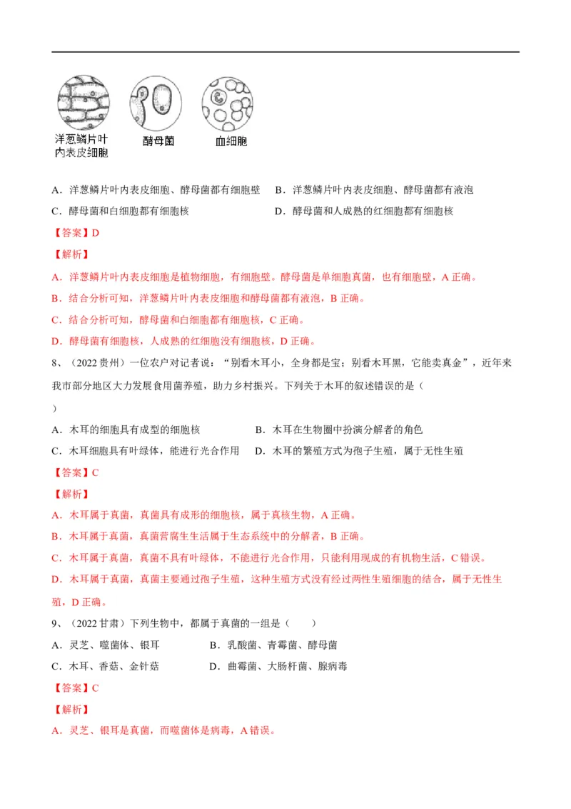 专题17细菌、真菌和病毒（解析版）_6生物中考复习_2023年中考复习资料_一轮复习_2023年中考生物一轮复习讲练测_专题17细菌、真菌和病毒（专题精练）-2023年中考生物一轮复习讲练测