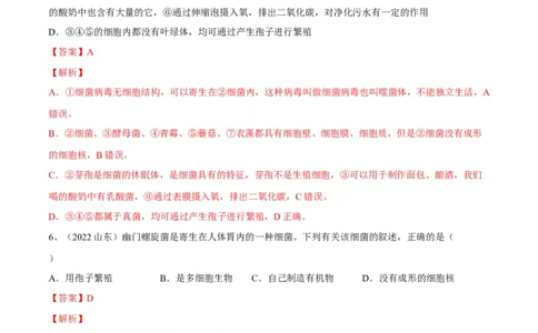 专题17细菌、真菌和病毒（解析版）_6生物中考复习_2023年中考复习资料_一轮复习_2023年中考生物一轮复习讲练测_专题17细菌、真菌和病毒（专题精练）-2023年中考生物一轮复习讲练测
