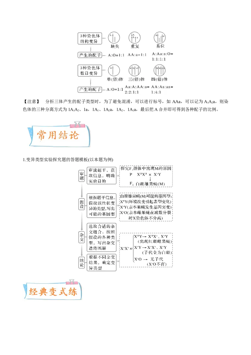 考向14基因突变及其他变异-备战2023年高考生物一轮复习考点微专题（全国通用）（解析版）(1)_通用版（老高考）复习资料_2023年复习资料_一轮复习