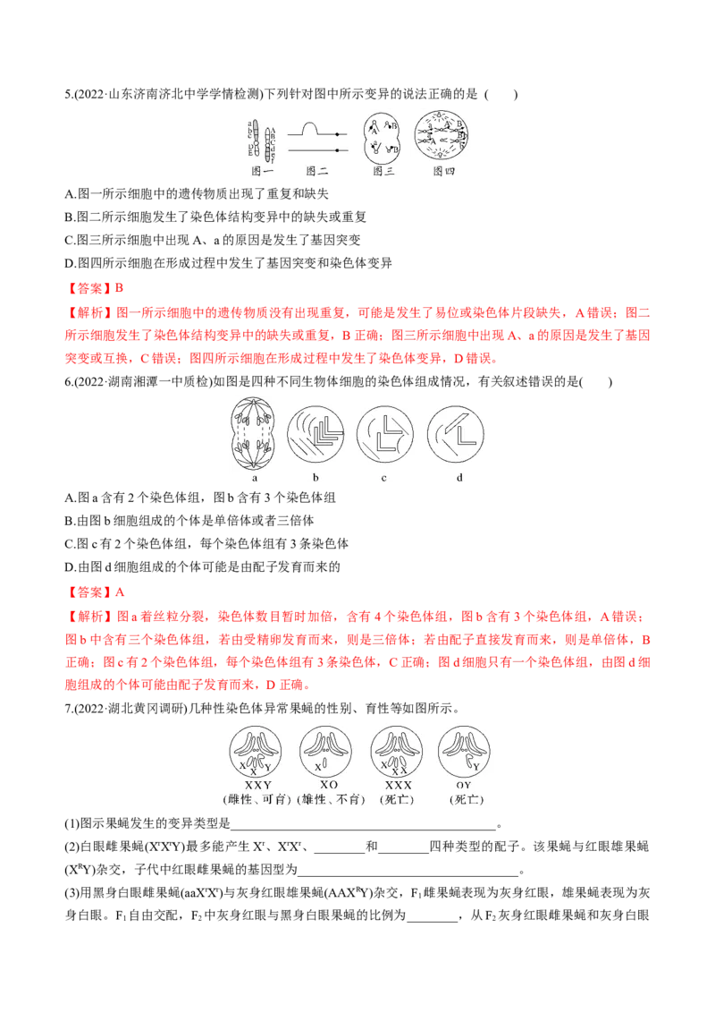 考向14基因突变及其他变异-备战2023年高考生物一轮复习考点微专题（全国通用）（解析版）(1)_通用版（老高考）复习资料_2023年复习资料_一轮复习
