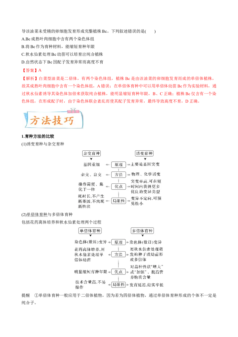 考向14基因突变及其他变异-备战2023年高考生物一轮复习考点微专题（全国通用）（解析版）(1)_通用版（老高考）复习资料_2023年复习资料_一轮复习