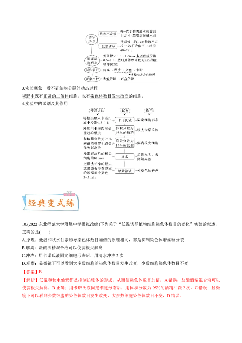 考向14基因突变及其他变异-备战2023年高考生物一轮复习考点微专题（全国通用）（解析版）(1)_通用版（老高考）复习资料_2023年复习资料_一轮复习