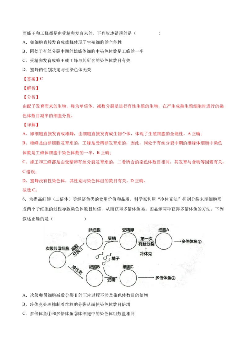 考向14基因突变及其他变异-备战2023年高考生物一轮复习考点微专题（全国通用）（解析版）(1)_通用版（老高考）复习资料_2023年复习资料_一轮复习