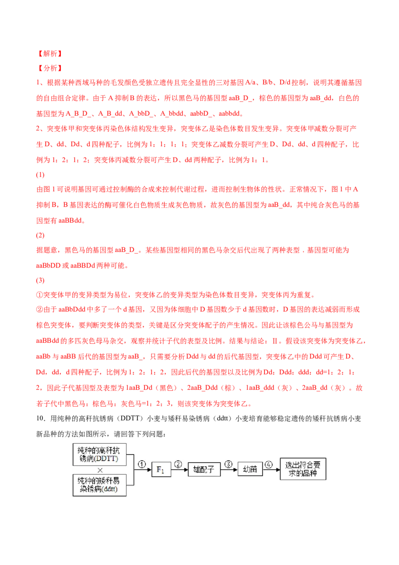 考向14基因突变及其他变异-备战2023年高考生物一轮复习考点微专题（全国通用）（解析版）(1)_通用版（老高考）复习资料_2023年复习资料_一轮复习