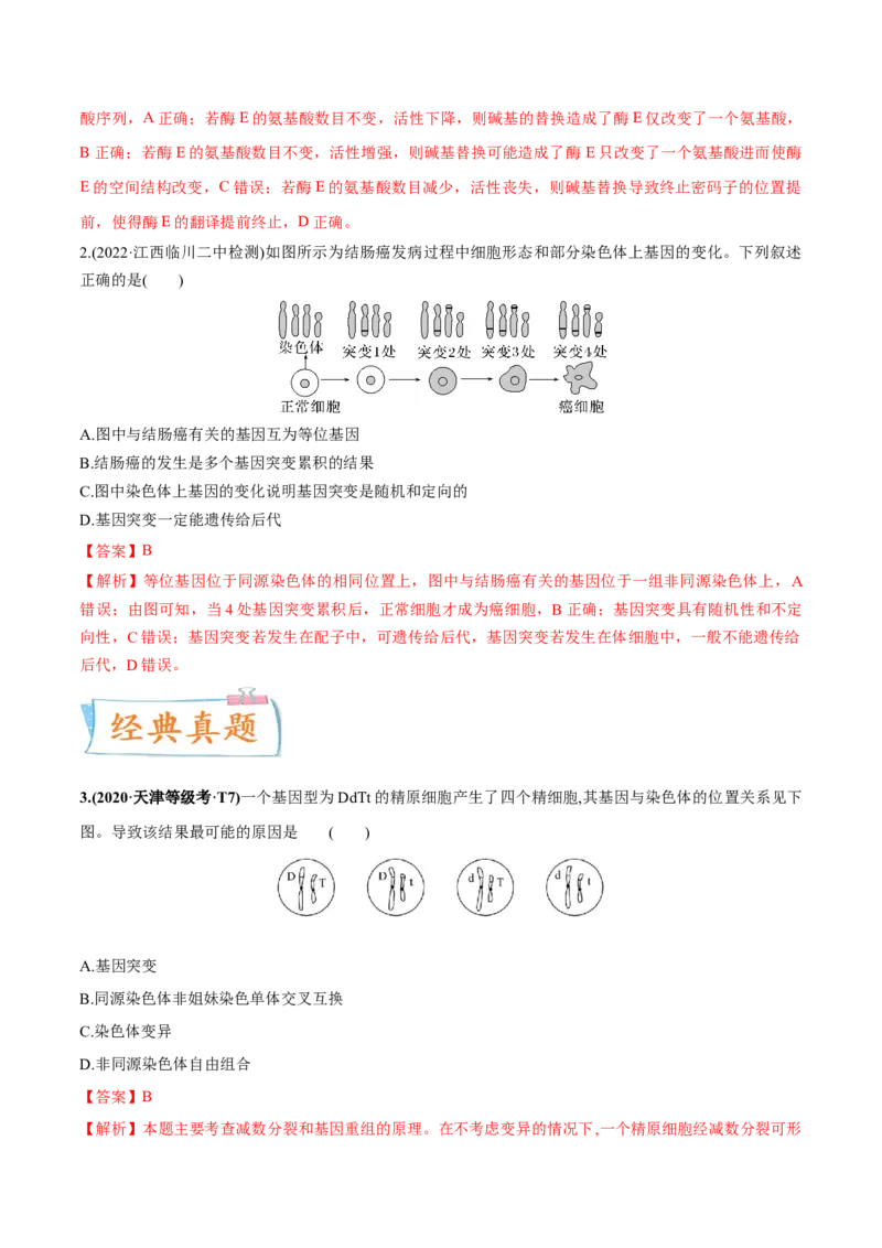 考向14基因突变及其他变异-备战2023年高考生物一轮复习考点微专题（全国通用）（解析版）(1)_通用版（老高考）复习资料_2023年复习资料_一轮复习