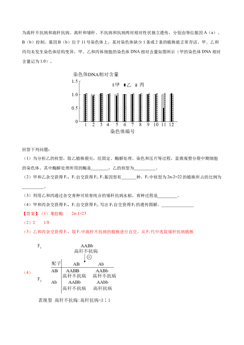 考向14基因突变及其他变异-备战2023年高考生物一轮复习考点微专题（全国通用）（解析版）(1)_通用版（老高考）复习资料_2023年复习资料_一轮复习
