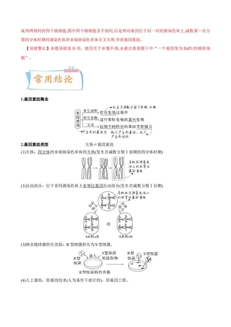 考向14基因突变及其他变异-备战2023年高考生物一轮复习考点微专题（全国通用）（解析版）(1)_通用版（老高考）复习资料_2023年复习资料_一轮复习