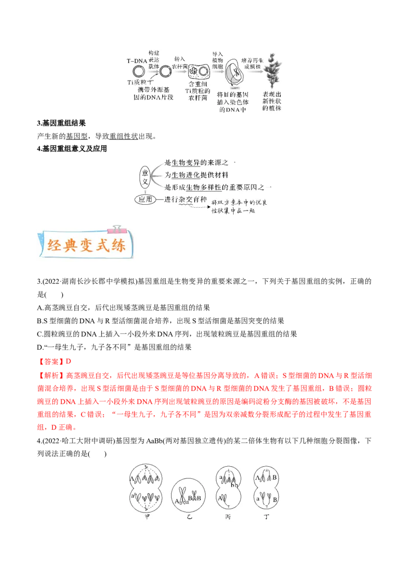 考向14基因突变及其他变异-备战2023年高考生物一轮复习考点微专题（全国通用）（解析版）(1)_通用版（老高考）复习资料_2023年复习资料_一轮复习