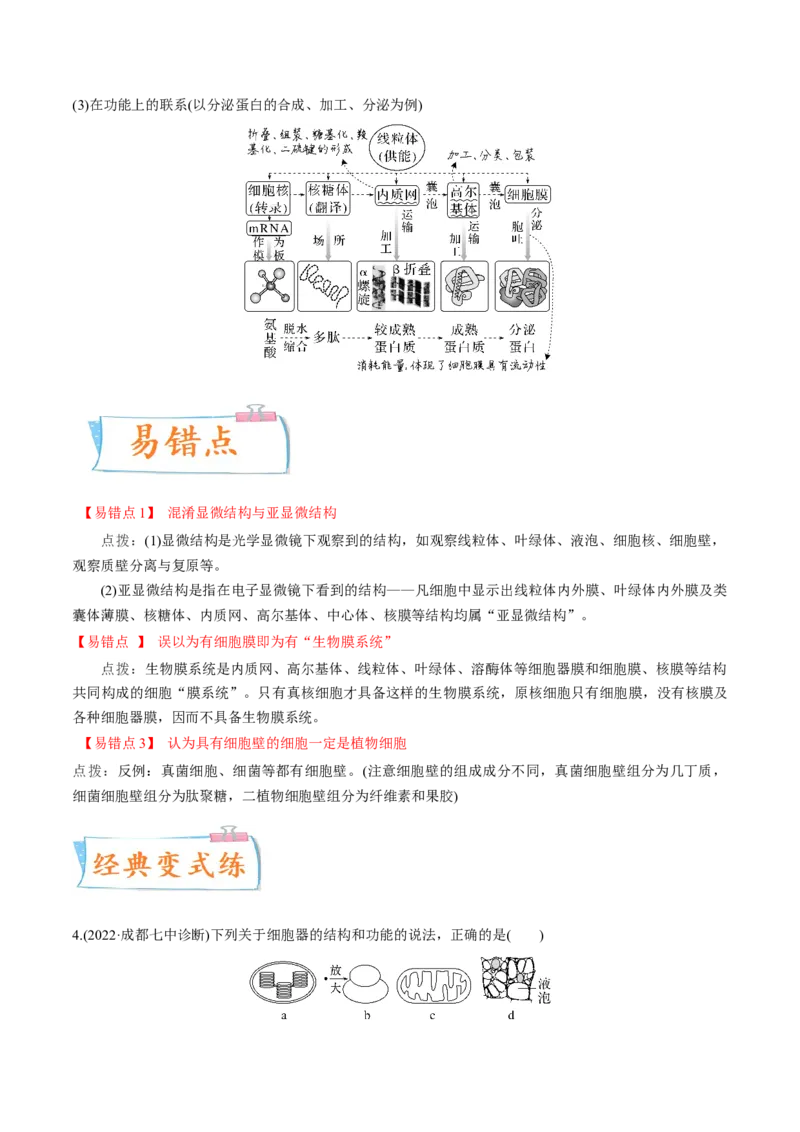 考向02细胞的基本结构-备战2023年高考生物一轮复习考点微专题（全国通用）（解析版）(1)_通用版（老高考）复习资料_2023年复习资料_一轮复习