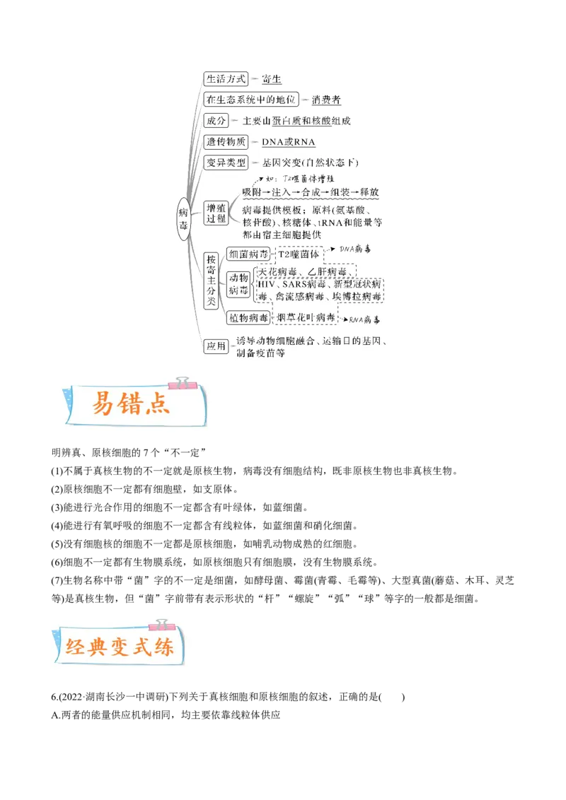 考向02细胞的基本结构-备战2023年高考生物一轮复习考点微专题（全国通用）（解析版）(1)_通用版（老高考）复习资料_2023年复习资料_一轮复习