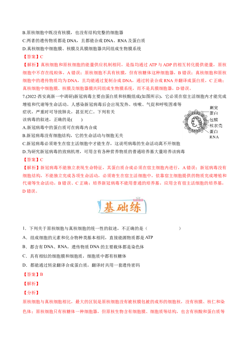 考向02细胞的基本结构-备战2023年高考生物一轮复习考点微专题（全国通用）（解析版）(1)_通用版（老高考）复习资料_2023年复习资料_一轮复习