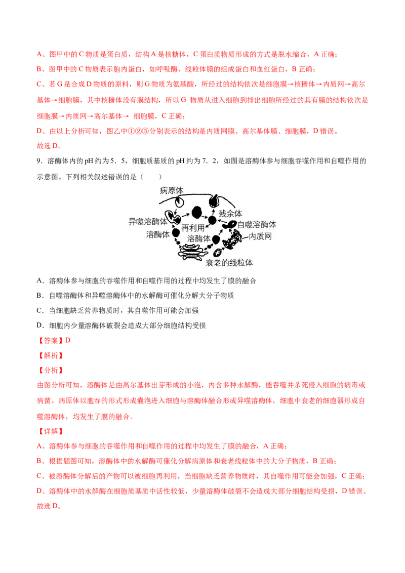 考向02细胞的基本结构-备战2023年高考生物一轮复习考点微专题（全国通用）（解析版）(1)_通用版（老高考）复习资料_2023年复习资料_一轮复习