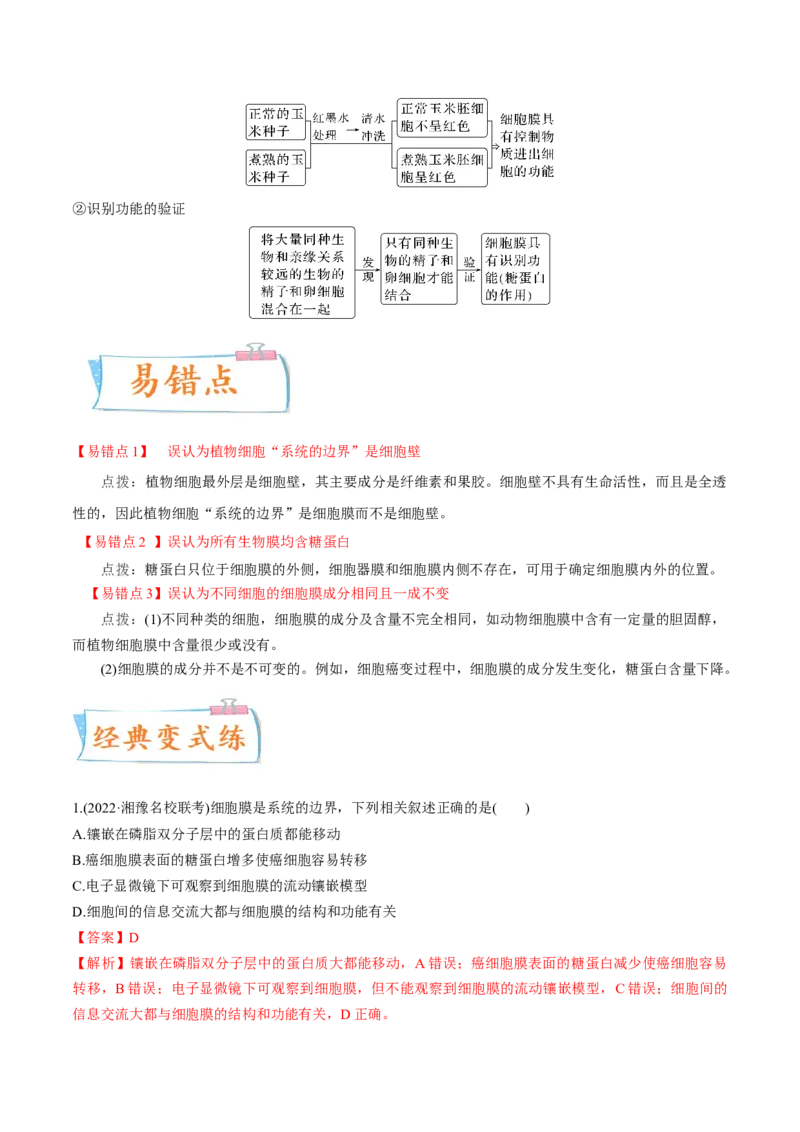 考向02细胞的基本结构-备战2023年高考生物一轮复习考点微专题（全国通用）（解析版）(1)_通用版（老高考）复习资料_2023年复习资料_一轮复习
