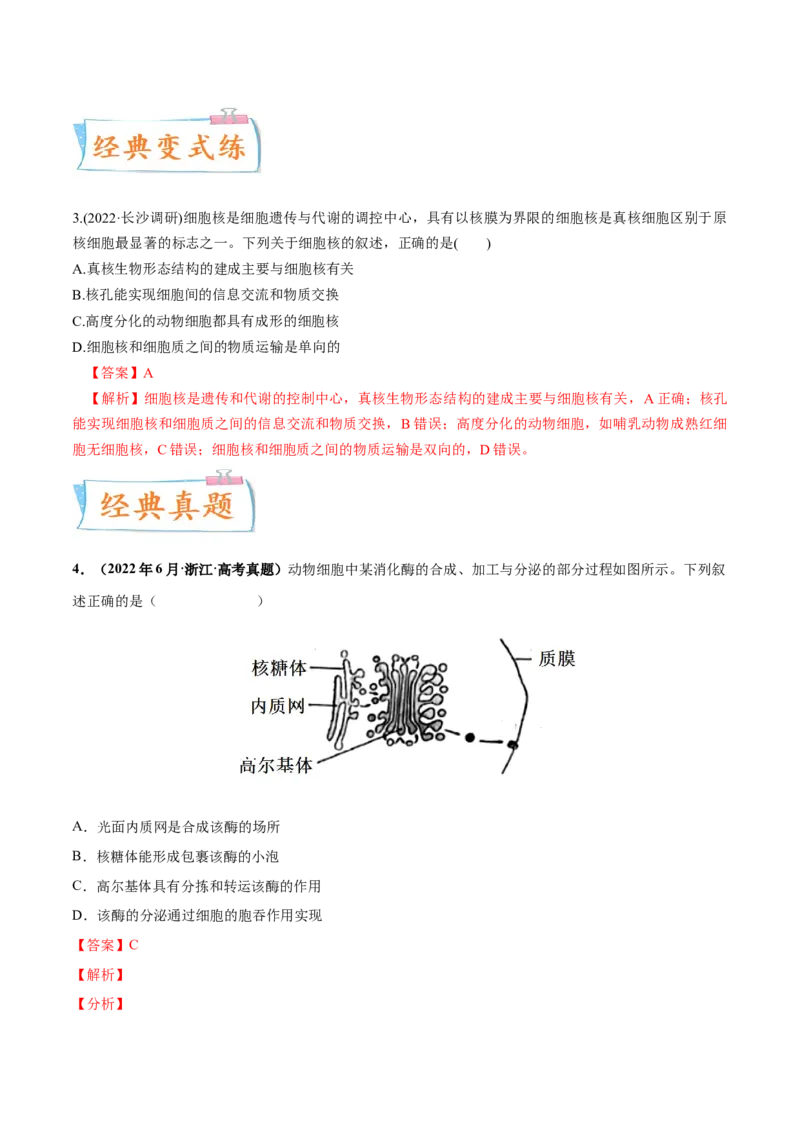 考向02细胞的基本结构-备战2023年高考生物一轮复习考点微专题（全国通用）（解析版）(1)_通用版（老高考）复习资料_2023年复习资料_一轮复习