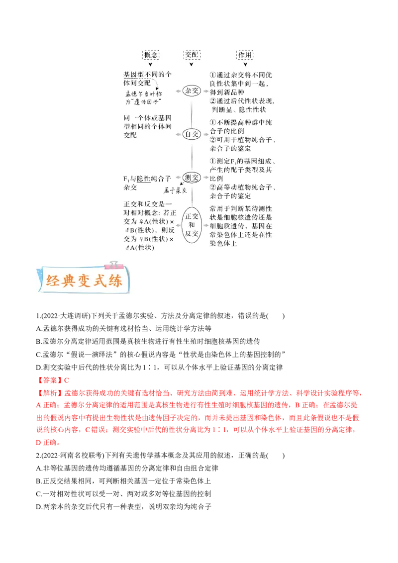 考向09基因的分离定律-备战2023年高考生物一轮复习考点微专题（全国通用）（解析版）_通用版（老高考）复习资料_2023年复习资料_一轮复习