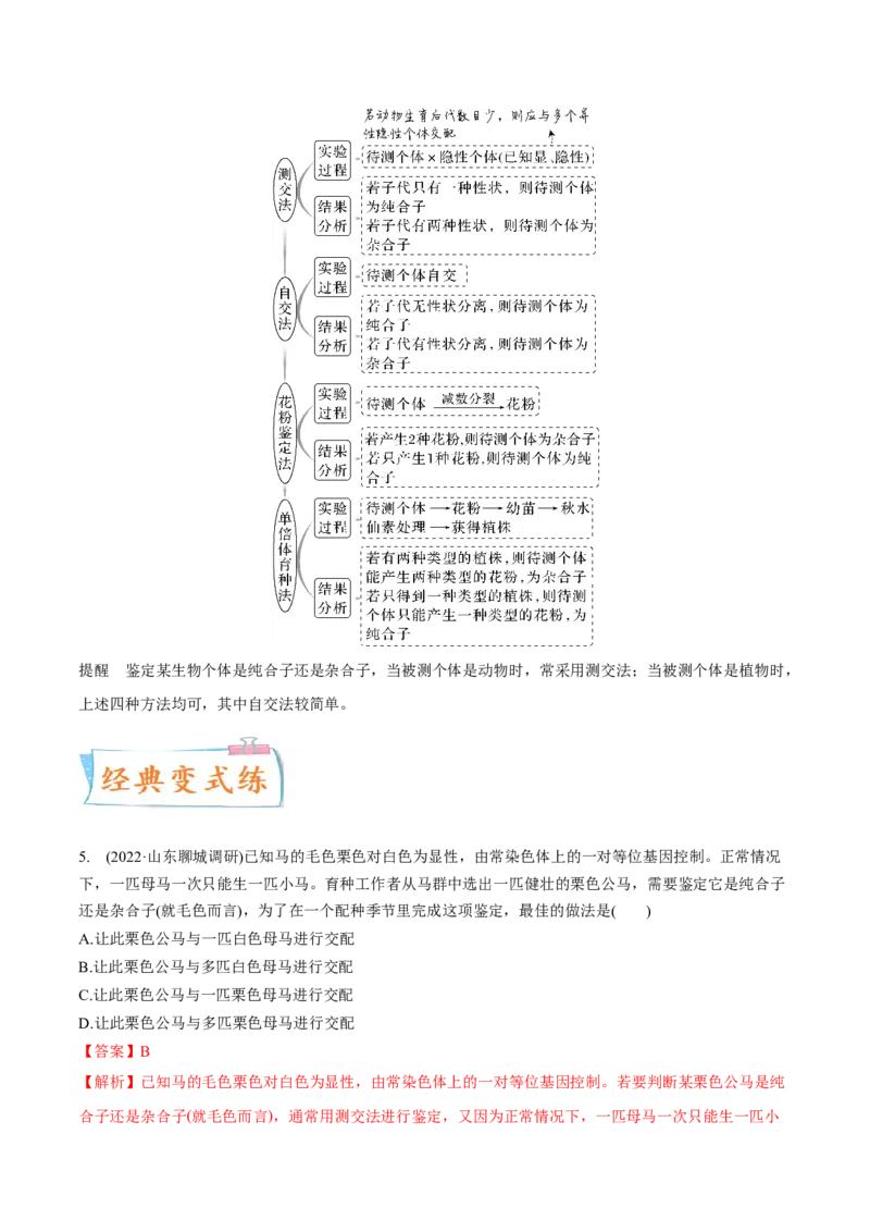 考向09基因的分离定律-备战2023年高考生物一轮复习考点微专题（全国通用）（解析版）_通用版（老高考）复习资料_2023年复习资料_一轮复习